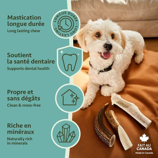 Split Antler Chew for Dogs, Large Image NaN