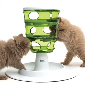 Food tree Senses 2.0