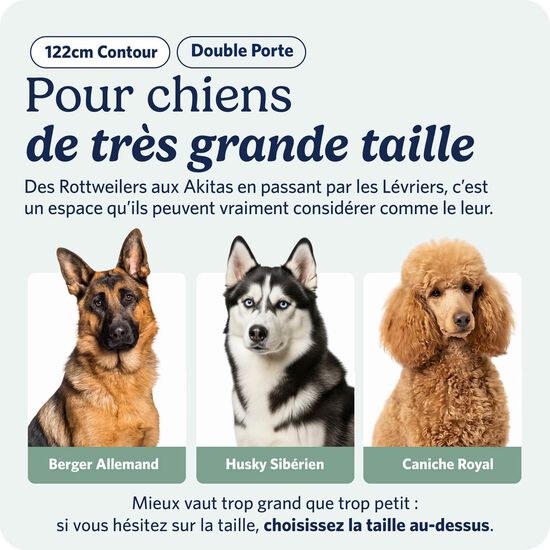 Two Door Folding Crate for Dogs Image 5.0