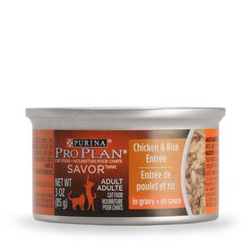 Chicken and rice wet food for adult cats