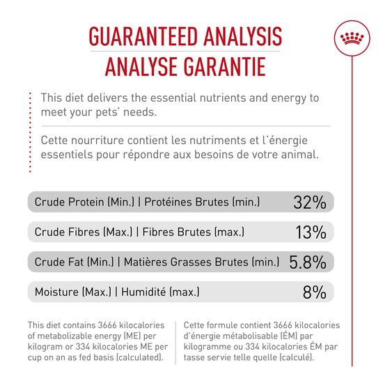 Nourriture pour chats adultes d'extérieur Image NaN