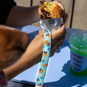 Laisse pour chiens