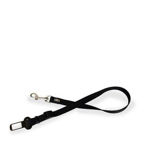 Mini seat belt tether for dogs