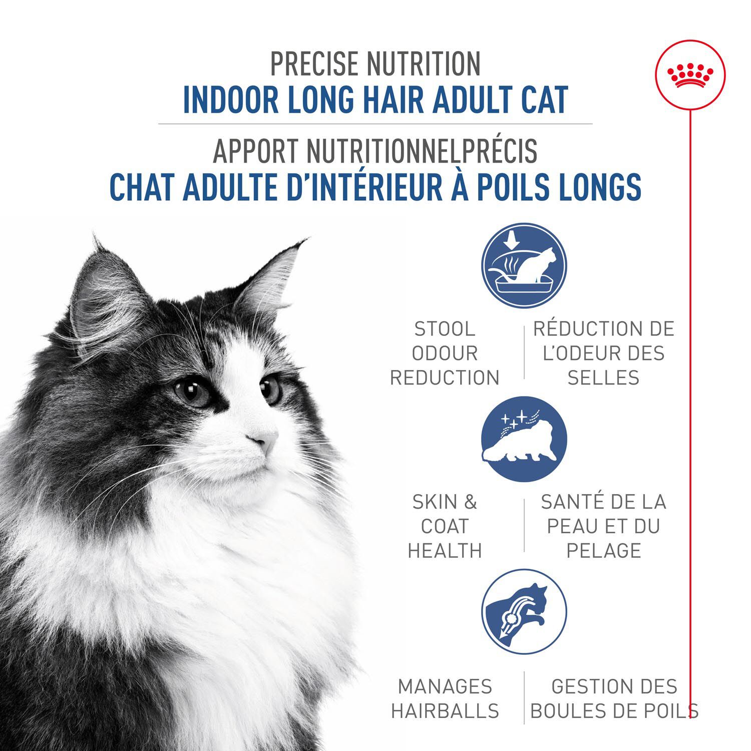 Long Hair Dry Food Formula for Indoor Cats Dry food Royal Canin