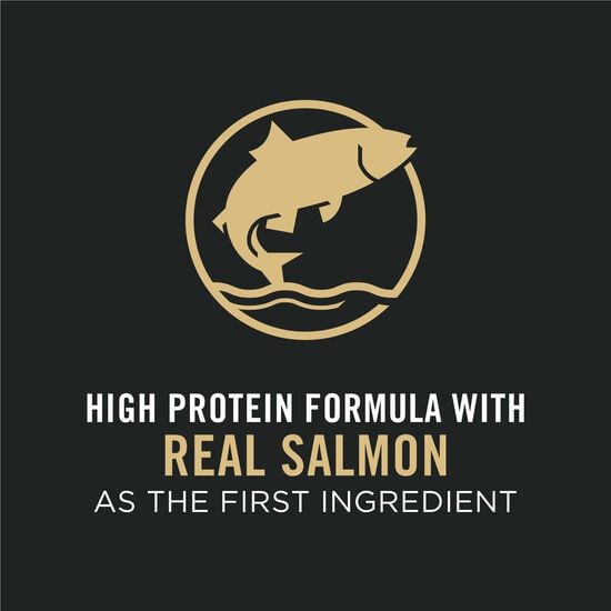 Bouchées à la viande et au saumon et riz formule « Complete Essentials » pour chiens, 15 kg Image NaN