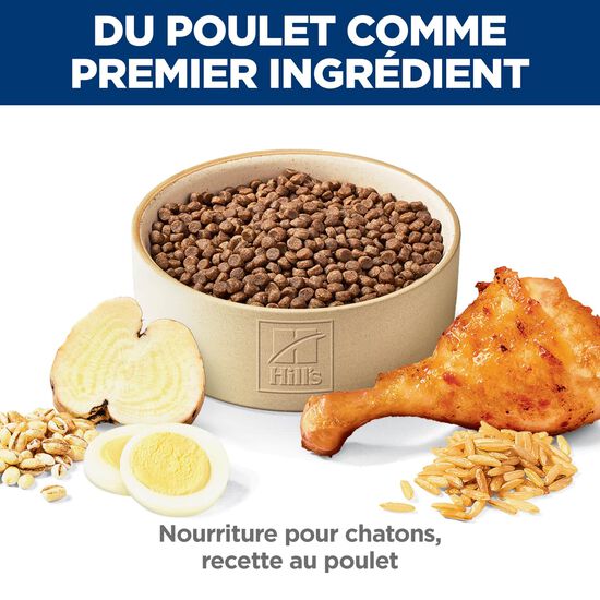 Chicken Dry Food for Kittens, 3.17 kg Image NaN