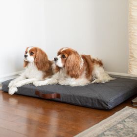 Lit hybride orthop&eacute;dique, M