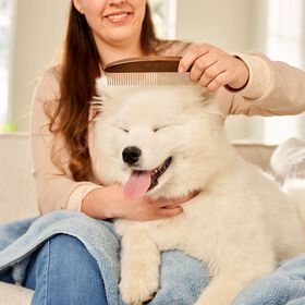Grooming Comb for Dogs