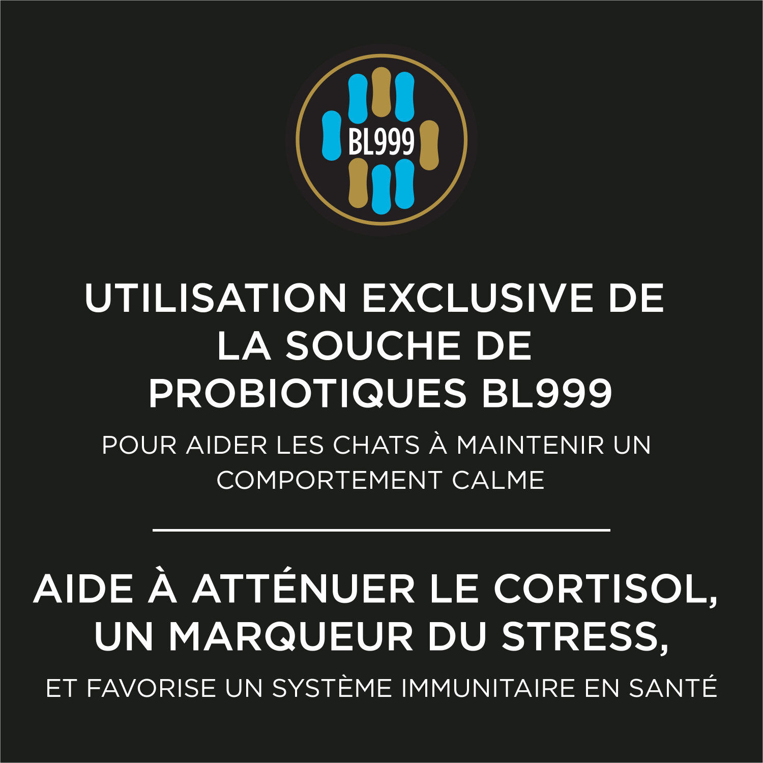 Calming Care Powdered Feline Calming Probiotic Supplement, 30 g Pro Plan Mondou