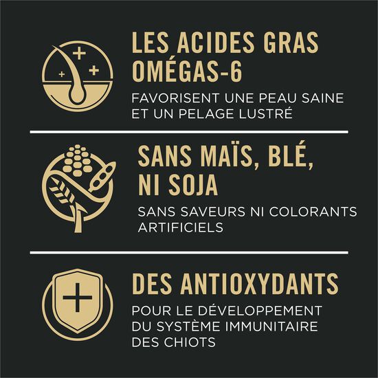 Nourriture sèche développement peaux et estomacs sensibles à l'agneau et riz pour chiots, 10,9 kg Image NaN