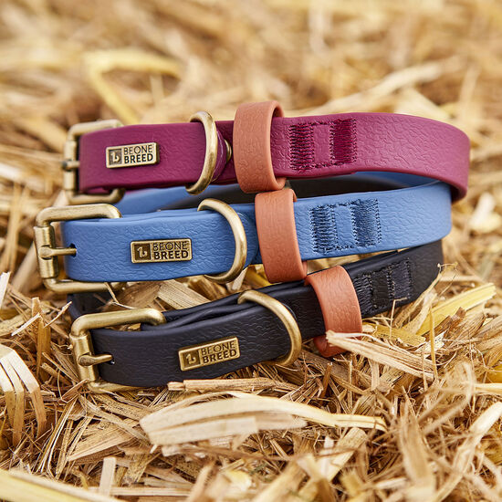 Collier luxe imperméable pour chiens, Cabernet Image NaN