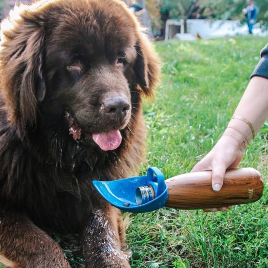 Travel Water Bowl, Blue Image NaN