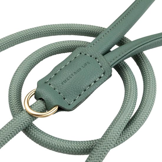 Laisse FuzzYard Life Atelier pour chiens, vert myrte Image NaN