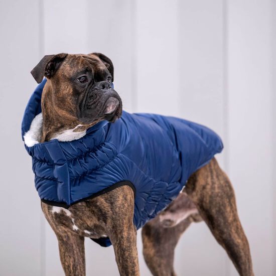 Elasto-Fit® Lunar Glow Parka for Dogs Image NaN