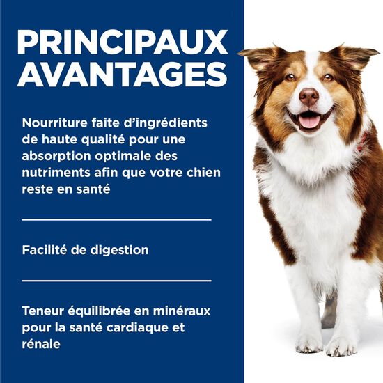 Senior 7+ Beef & Barley Entr&eacute;e Dog Food, 370 g Image NaN