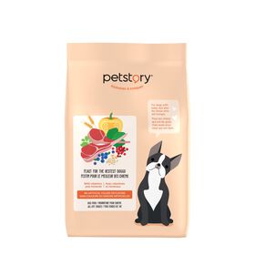 Lamb flavoured dry food for all breeds dog