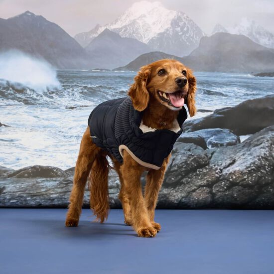 Manteau Elasto-fit&reg; Montagne froide pour chiens, Bleu marin Image NaN
