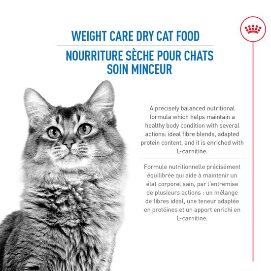 Formule Soin Minceur pour chats adultes Image NaN
