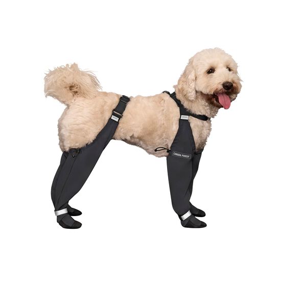 Reflective Suspender Boots for Dogs Image NaN