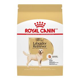 Nourriture s&egrave;che pour chiens adultes de race Labrador Retriever