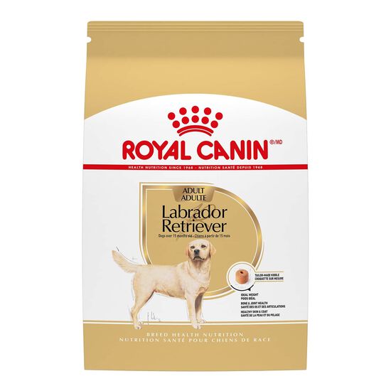 Nourriture s&egrave;che pour chiens adultes de race Labrador Retriever Image NaN