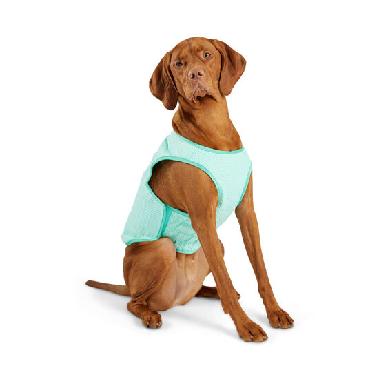 Ice Vest for Dogs Image NaN