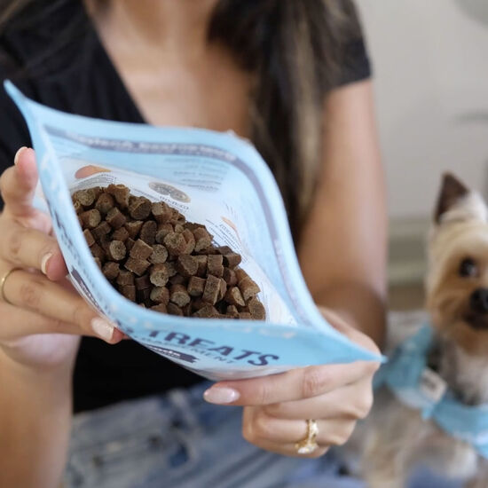 Mini Training Salmon Treats for Dogs Image NaN