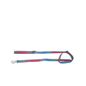 Blue and Pink Gradian Silicone Dog Leash, 6 inches