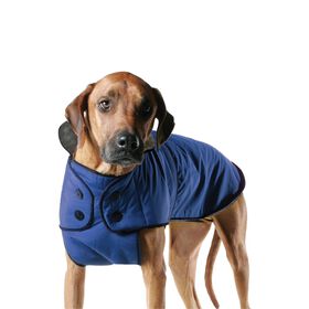 Belted Dog Coat, blue