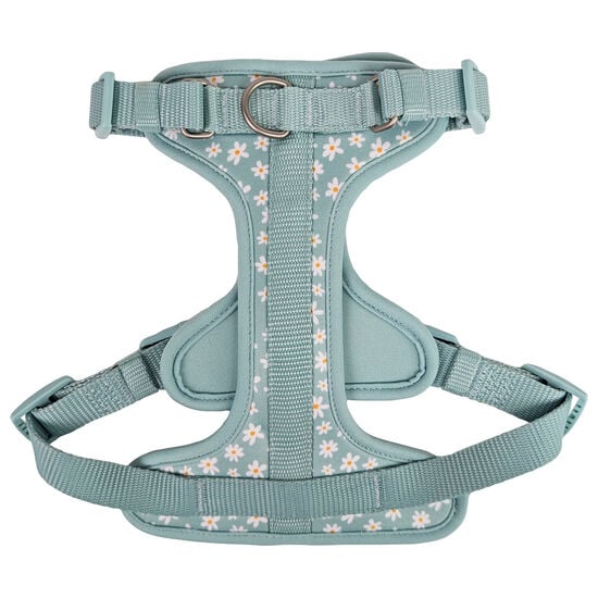 Harnais pour chiens, Marguerite estivale Image NaN