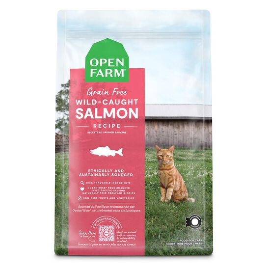 Nourriture s&egrave;che sans grains recette au saumon sauvage pour chats Image NaN