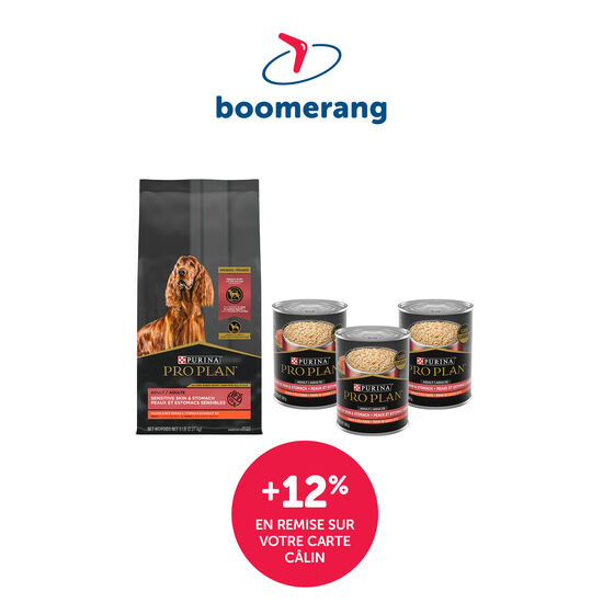 Pro Plan Small Cuddle Bundle for Dogs Image NaN