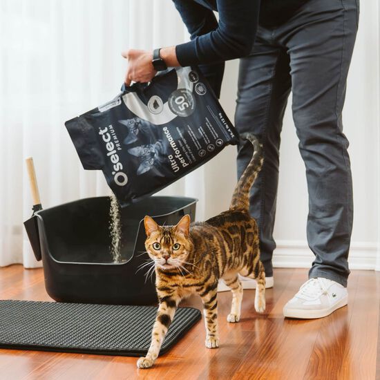 Unscented Clumping Clay Litter, 12 kg Image NaN