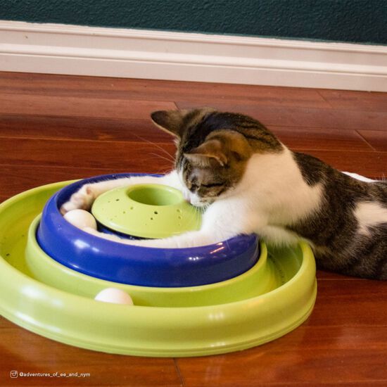 Catnip Hurricane cat toy Image NaN