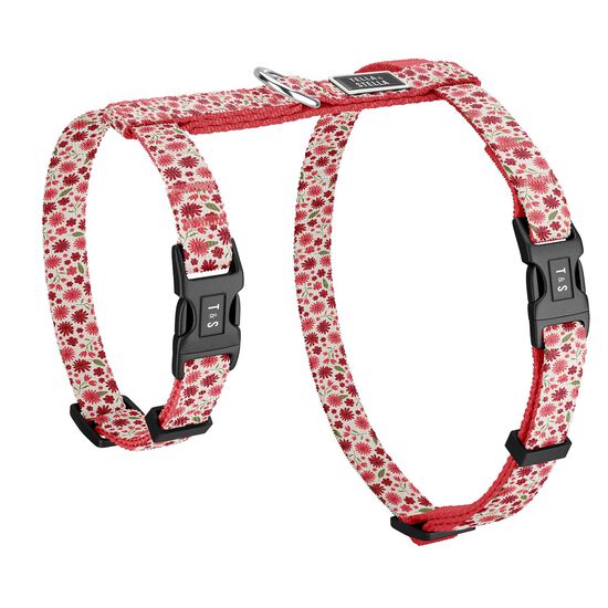 Cat Harness Image NaN