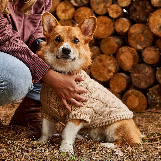 Chunky Cable Knit Turtleneck Chalet Sweater for Dogs Image NaN