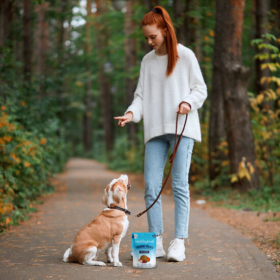 Mini Training Salmon Treats for Dogs Image NaN
