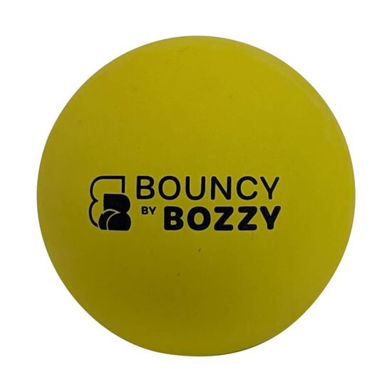 Bouncy Ball for Dogs Image NaN