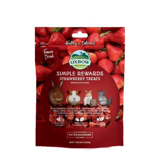 Freeze-Dried Strawberry Treats for Rodents Image NaN