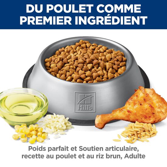 Nourriture sèche « Perfect Weight & Joint Support » au poulet pour chiens adultes, 11,34 kg Image NaN