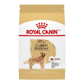 Nourriture s&egrave;che pour chiens adultes de race Golden Retriever