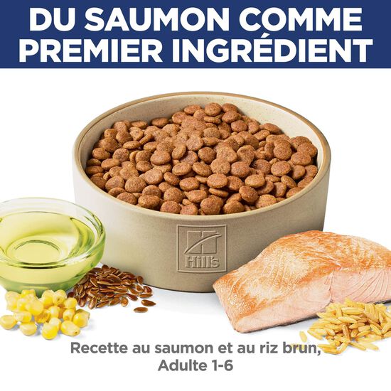 Nourriture sèche recette au saumon et au riz brun pour chiens adultes, 14,9 kg Image NaN
