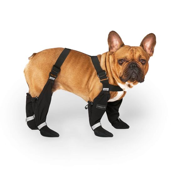 Bottes &agrave; bretelles pour chiens Image NaN