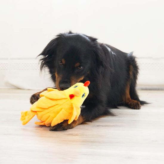 Peluche Layerz Forage Hen pour chiens Image NaN