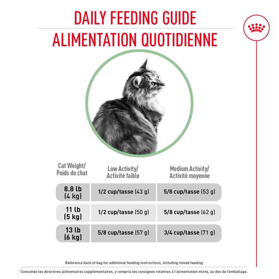 Formule soin digestif pour chats adultes Image NaN