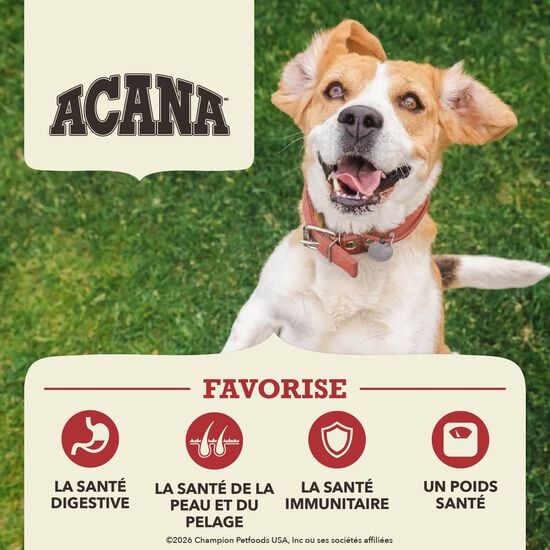 Red Meat Recipe Dry Food for Dogs, 11.4 kg Image NaN