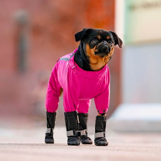 Soft Shield Boots for Dogs Image NaN