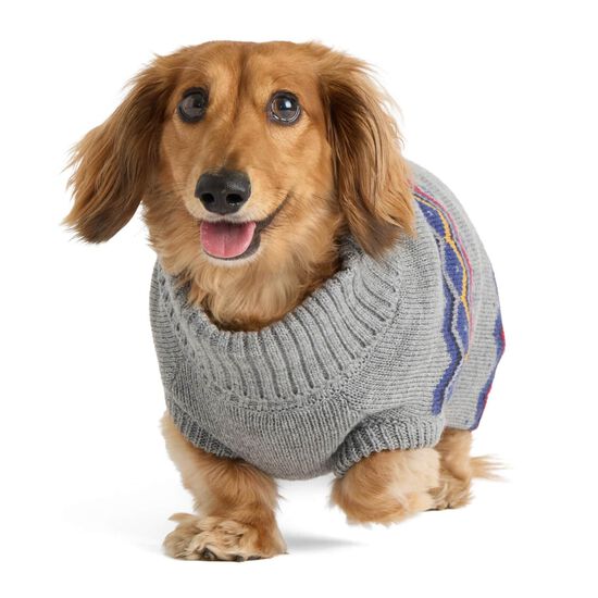 Pull &agrave; col roul&eacute; pour chiens Image NaN