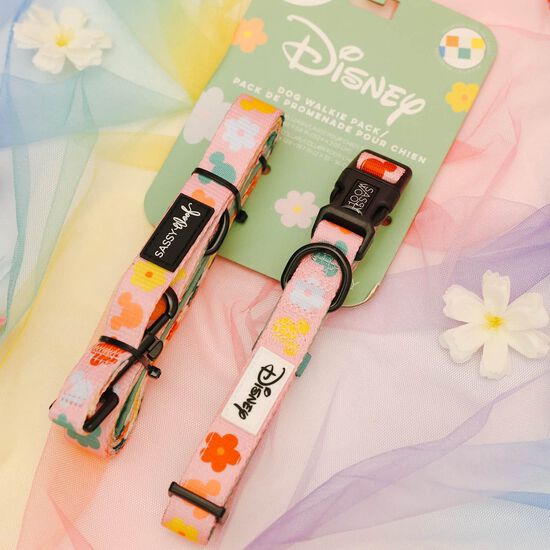 Ensemble de promenade Disney's Rainbow Frenzy pour chiens Image NaN