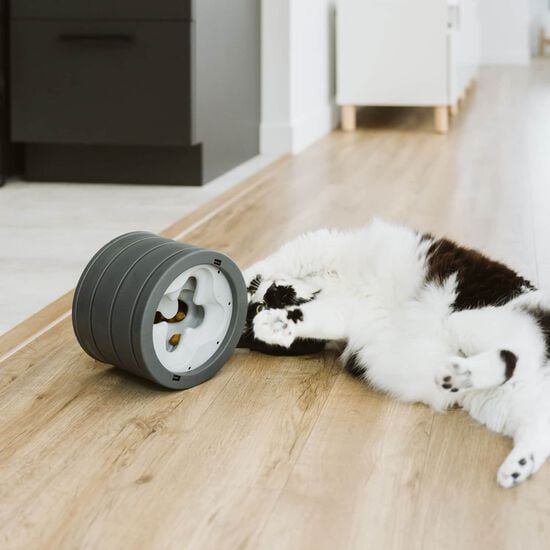 Intellikatt 2.0 Image NaN